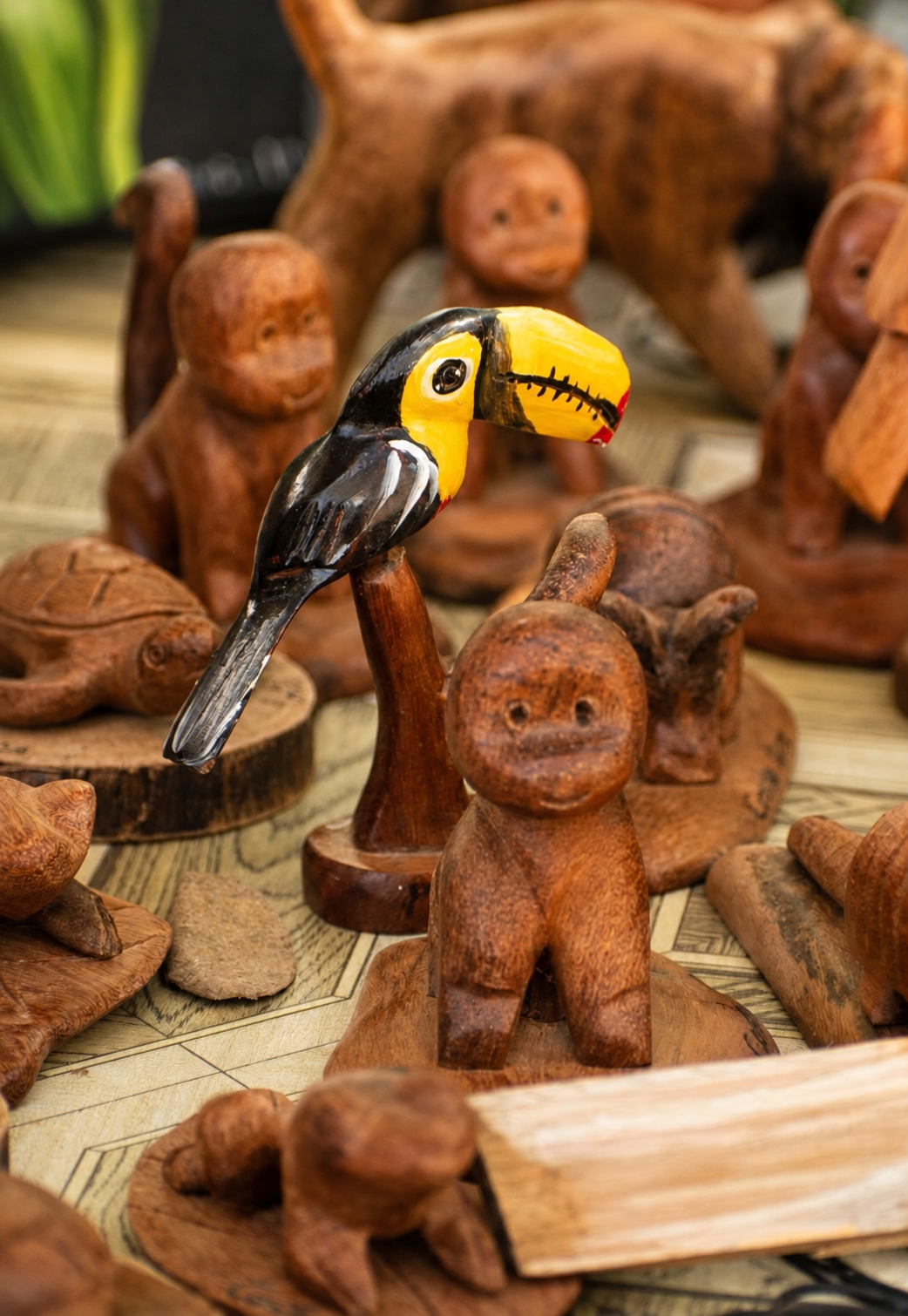 Fauna de Guanacaste