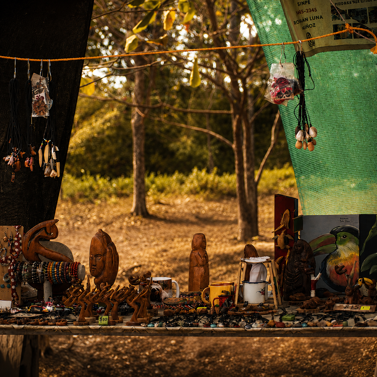 El puesto de Don Carlos en Bagaces, Guanacaste